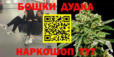 МДПВ Волгодонск