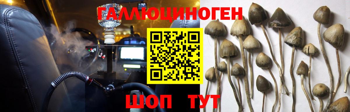 Псилоцибиновые грибы Psilocybine cubensis  Вход с VPN  Белогорск 